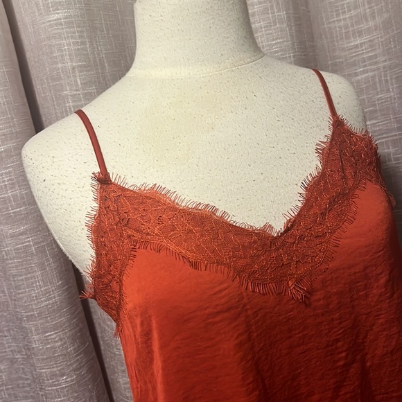 Nordstrom’s BP lace lined fancy tank - Picture 3 of 8